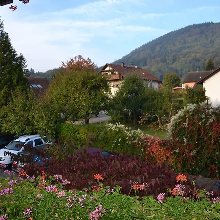 Auerhahn 게스트하우스 3*