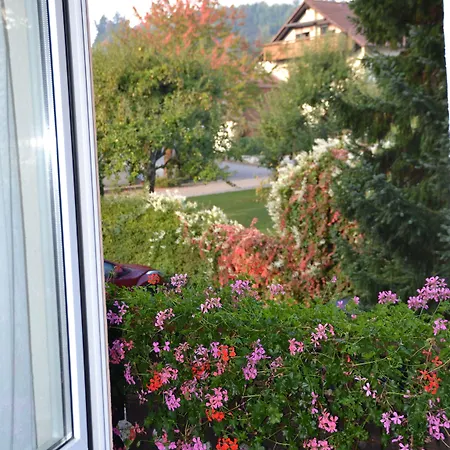 게스트하우스 Auerhahn 바덴바덴